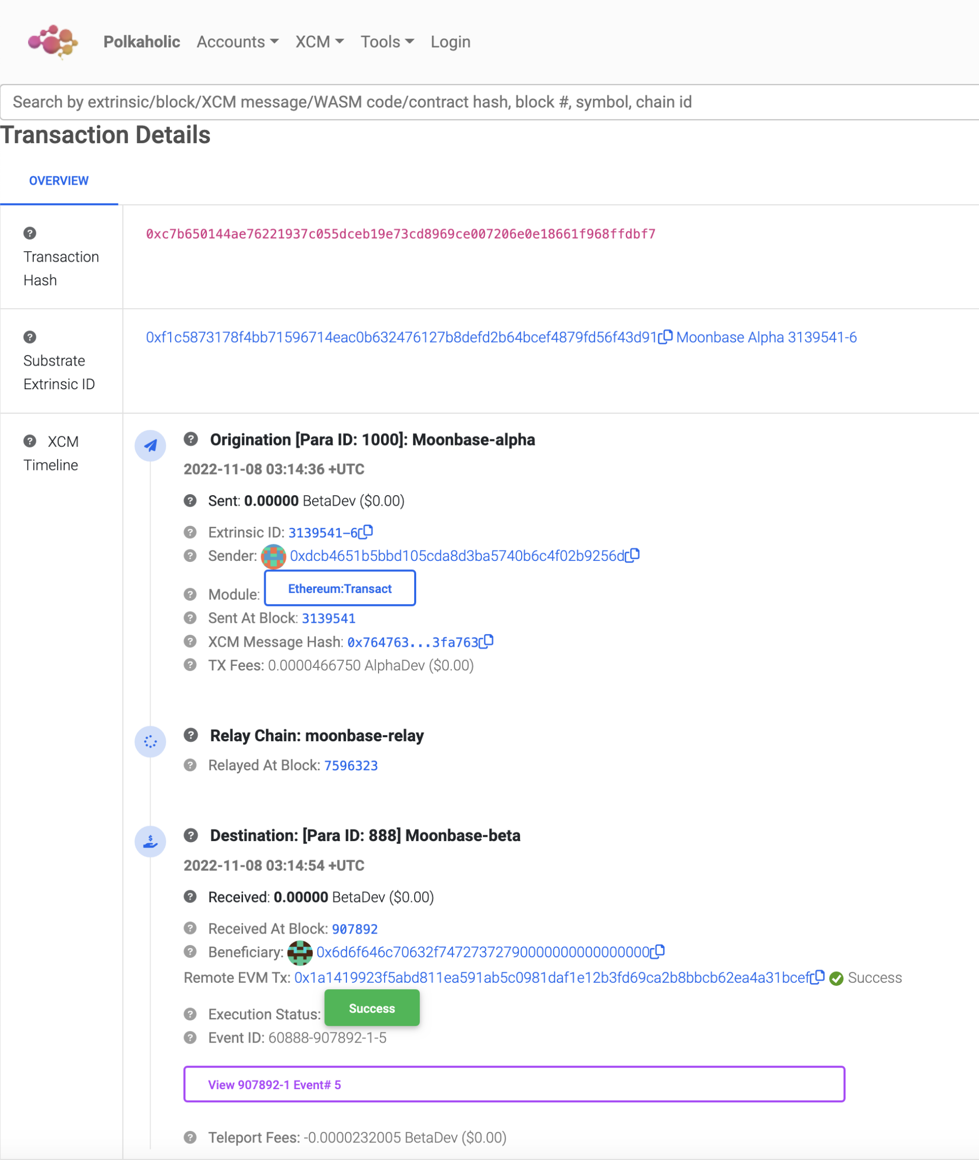 Zombienet Remote Execution Transaction Details